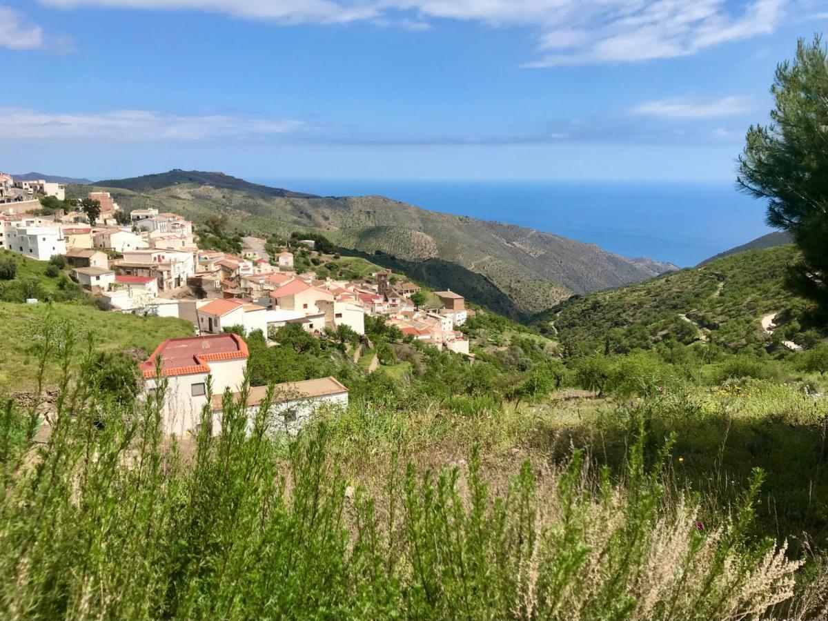 Casa Amigos Sorvilan- La Palmera Экстерьер фото