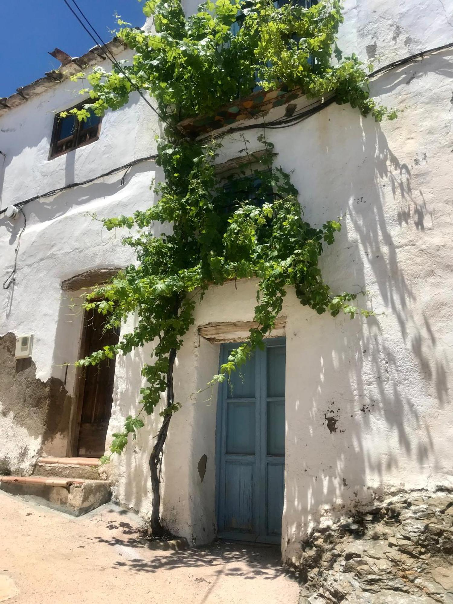 Casa Amigos Sorvilan- La Palmera Экстерьер фото