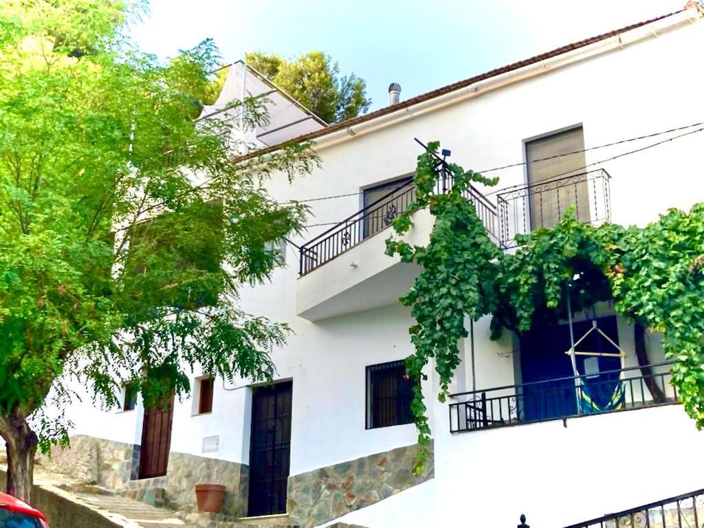 Casa Amigos Sorvilan- La Palmera Экстерьер фото